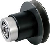 PF Model
