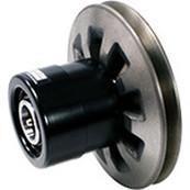 PL Model